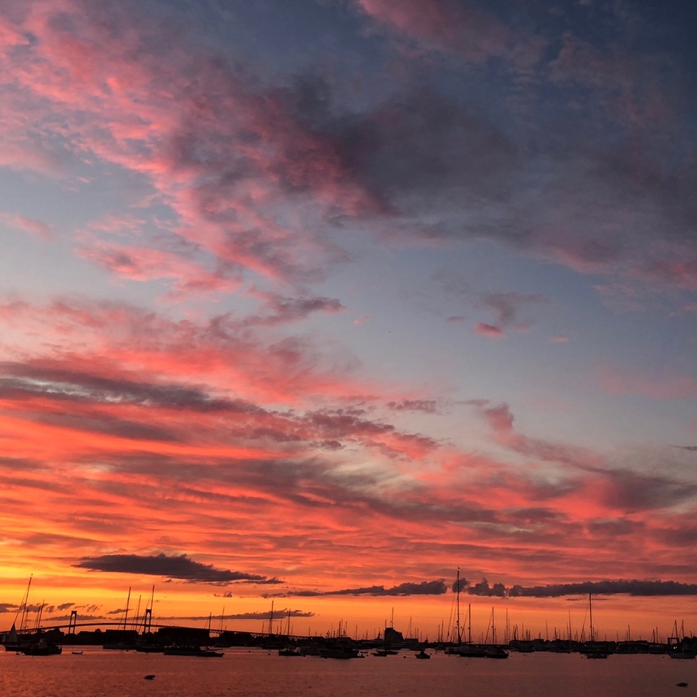 Meet your Posher, Evy